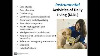 Improving Quality of Life for Patients with GVHD Through Occupational Therapy and Good Nutrition