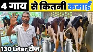 4 गाय से कितनी कमाई || Low budget dairy farming