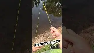 How To Cast A Fly Rod