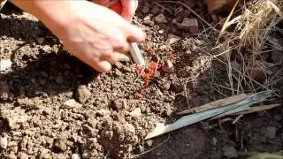 How to Start a Fire Using the Easy Fire Starter