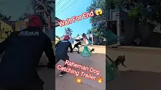 Raheman Unbelievable Dog Catching Fails #dogwithpublicsafety #dog #ytviral #pets #shorts #dogshorts