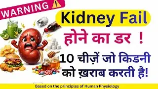 Fear of Kidney Failure? ❌ 10 Most Dangerous Things That Cause Kidney Damage!