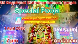 Amman Special Pooja Celebration at Sri Nagakanni Muthumariamman Temple🙏Dollygunj Village 🙏Andaman🙏