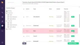 Translation Manager Overview