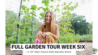 Full Garden Tour (Week Six 2021) VLOG
