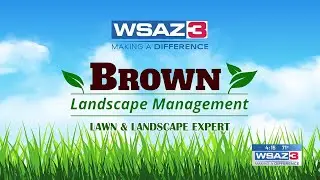 Brown Landscape Management Lawn & Landscape Expert 05/16/2025