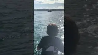 Non-Stop Kahawai Action &ndash; Trolling Through Bay Workups!  #fishingboat #nzfishing #workup
