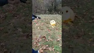 20th Century Fox theme song but with shotguns...