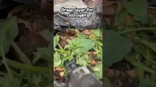 Simple way of making nutrient rich compost from our kitchen waste in bin bags #compost #gardentricks