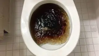 Will it Flush? - Diet Coke