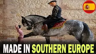 5 FAMOUS Southern European Horse Breeds That Will Blow Your Mind!!