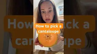 Как выбрать дыню в магазине #любительфруктов #дыня #сборфруктов