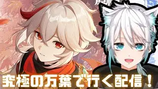 【原神】究極の万葉で行く配信！12時までかな【げんしん】#原神　#原神ライブ