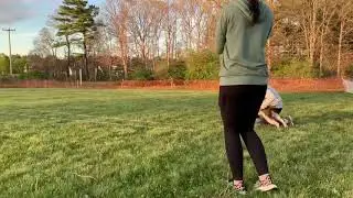Beginner Lure Coursing