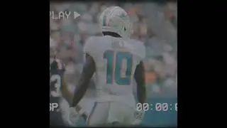 dolphinsduo.mp4