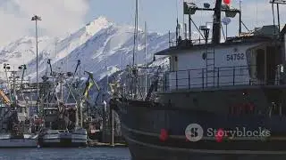 Wrangell or Kodiak #kodiak #seafoodprocessing #alaska #travel