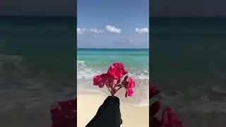 Mediterranean Sea🤍 Egypt🇪🇬