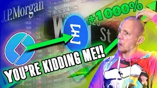 Sleep on the Scallop AMA and regret it!