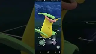 Timeless Cup Practice 3 (No Commentary) Bonus: Freestyle PvP match