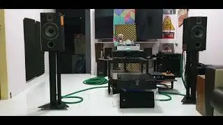 FOCAL CHORUS 706 （stuck on you）