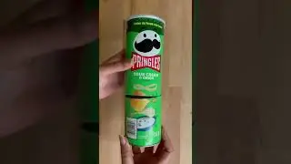 Pringle can recycle idea #shorts #asmr #reducereuserecycle
