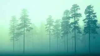 Deep Sleep Music 432Hz 🌿 Handpan & Harp Zen Forest Ambient | No Percussion