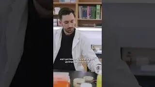 MSc in Molecular and Cellular Biology