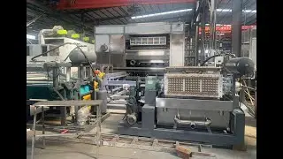 China Leading Paper Product Making Machine Egg Tray Making Machine Manufacturer Qingdao Perfect
