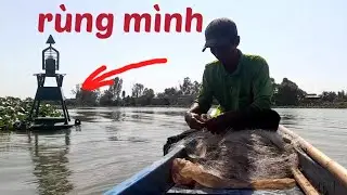 @ bao lưới dính cá mê luôn gần phao đèn báo hiệu 