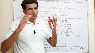 Types of classification  System