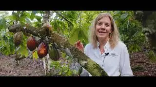 Castronovo Chocolate - Jaen Adventure