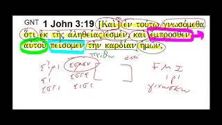 1 John 3:19