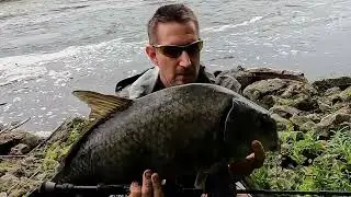 Fly Fishing the Cedar River