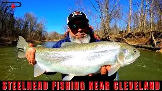 Steelhead Fishing Near Cleveland