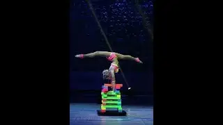 Hand Balancing on Lego Cubes Unusual Circus Act Variety performance Entertainment