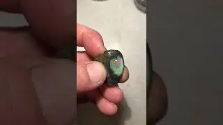 Canadian Boulder Opal, at its finest #Shorts #rosscosauadventures #gemology