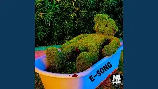 E-Song