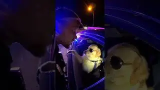 Police Pulled Over a Dog for Speeding 🚓🐶 #aicomedy#funnydogs