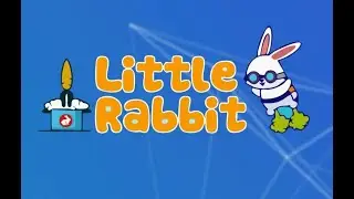 How To Buy Little Rabbit With No Slippage!