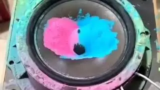 Видео из приложения Likee 2019 года, новые!🥰🧡