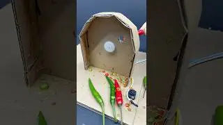 Homemade Chilli Cutter Using DC Motor 😱🔧 #shorts #viral #funny #motorproject