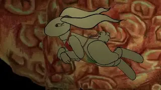 Study Abroad 2: The Daydreaming Bunny
