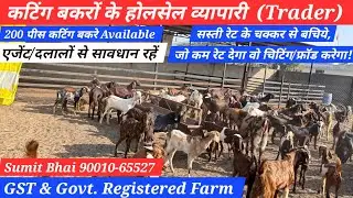 कटिंग बकरों के होलसेल व्यापारी (Trader) 90010-65527 #goatfarmingIndia #goatfarmingbusiness #goatfarm