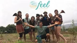 ECO SURFING - LET'S GIVE SOMETHING BACK TO CANARY ISLANDS &ndash; FEEL Surf Camp Las Palmas