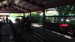 Braxton on the kids train at the zoo