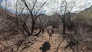 DA TERRA SECA NASCE O HOMEM FORTE