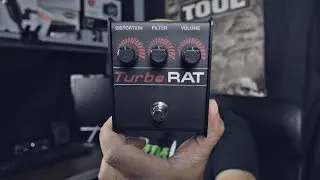 ProCo Turbo Rat