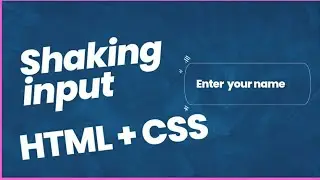 shake animation for invalid input
