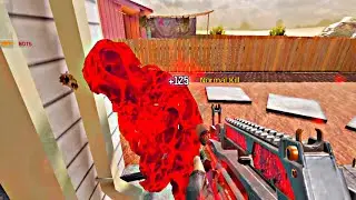 MAX GRAPHICS TYPE25 LEGENDARY KILL EFFECT CODM