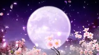 Best Insomnia Therapy, Pure Relaxation Music for Sleeping, Healing Music for Deep Sleep, Sleep Music